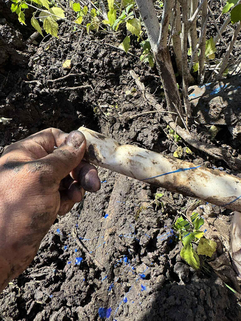 Sprinkler Design Contractor Dallas