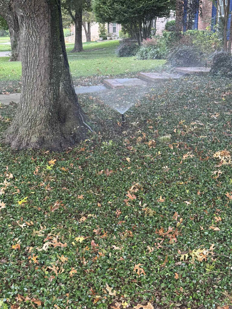 Sprinkler Head Repair Service Dallas