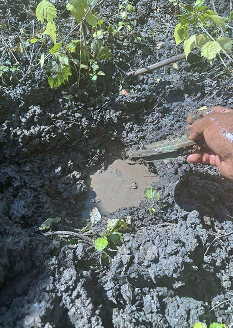 Sprinkler System Tune Up Dallas