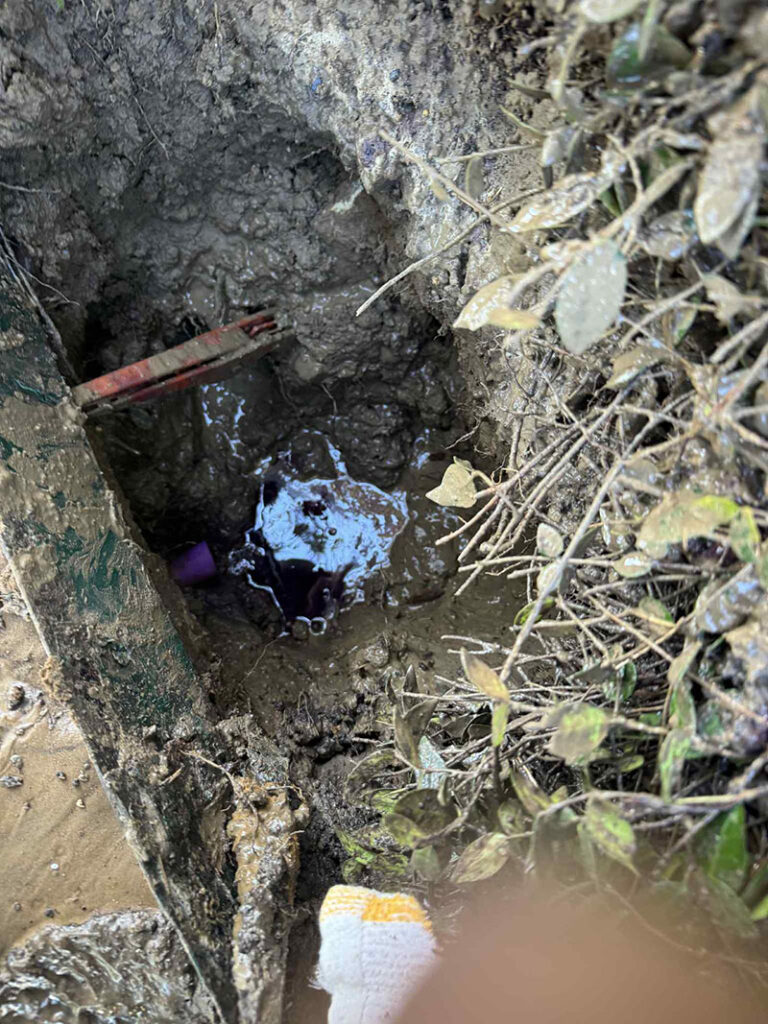 best sprinkler repair Contractor in dallas TX